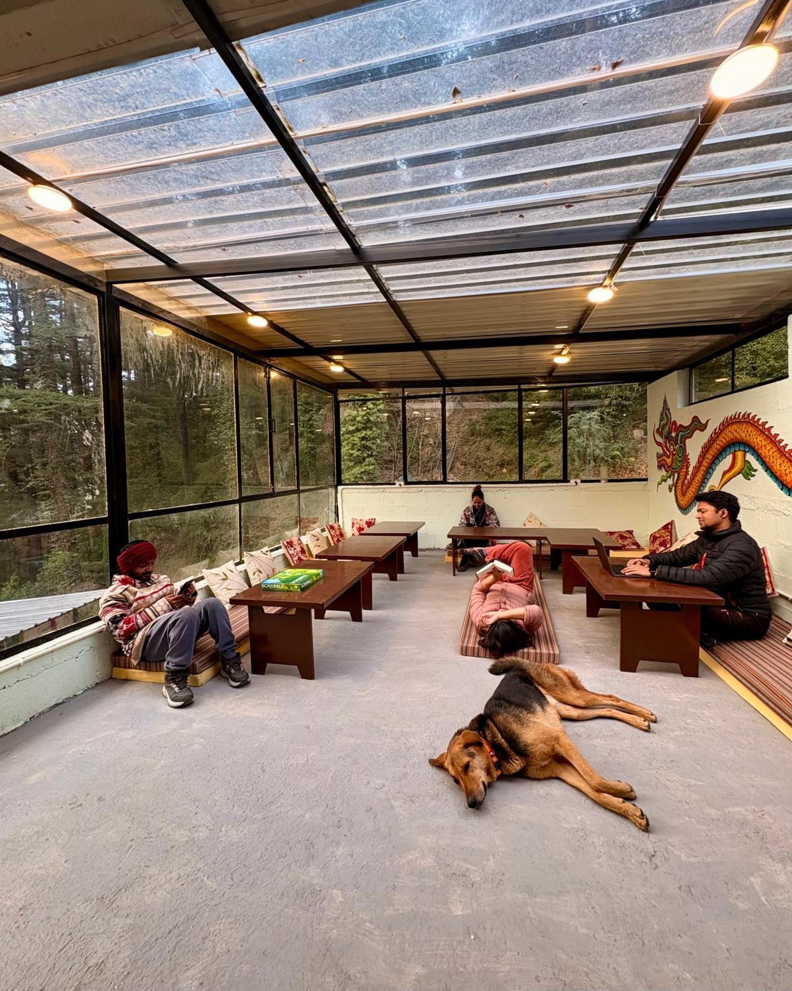 Eevolve Dharamkot - An Eco Hostel แมคลอยด์กันจ์ ภายนอก รูปภาพ